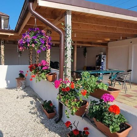 Apartament Soliday Vama Veche Zewnętrze zdjęcie