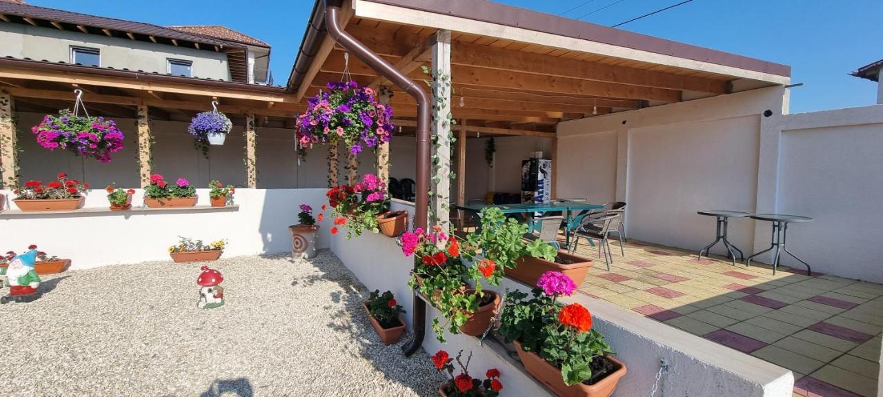 Apartament Soliday Vama Veche Zewnętrze zdjęcie